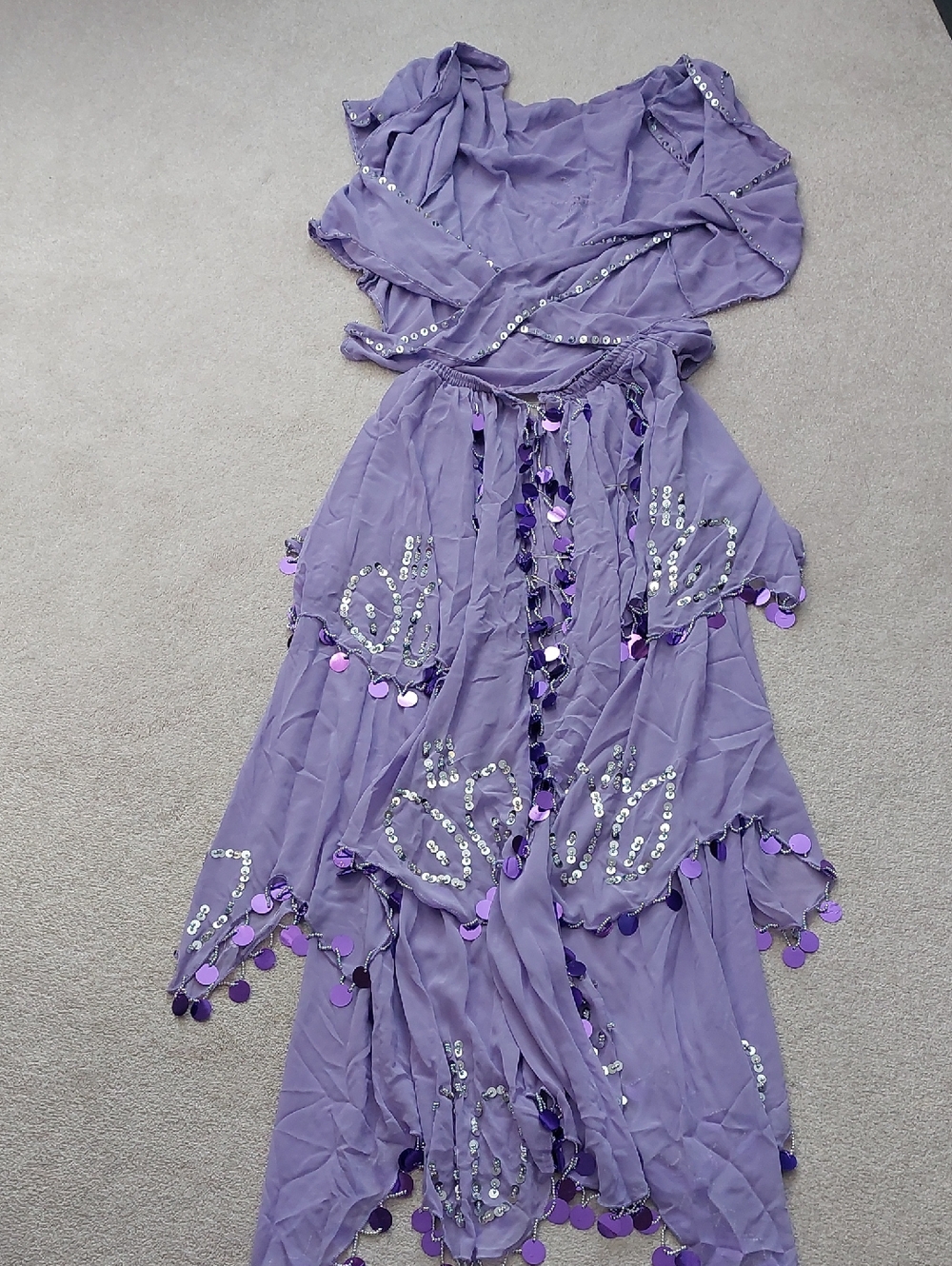 Lavender Sequin Belly Dance Skirt Set